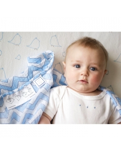 Набор пеленок SwaddleDesigns Swaddle Duo KW Chickies/Chevron